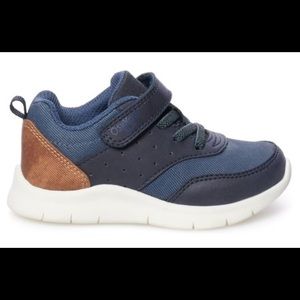 Boys Toddler Canvas Sneakers